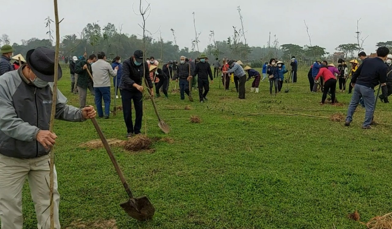 Trồng cây 3